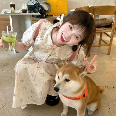 被盗的和平